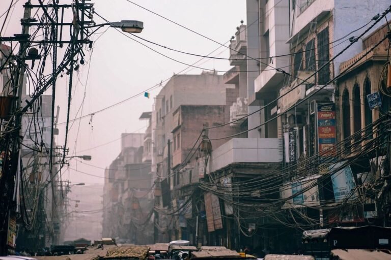 गाजीपुर की गो ग्रीन नर्सरी में मिल रहे पुणे के हाइब्रिड गुलाब, कीमत 150-170 रुपये